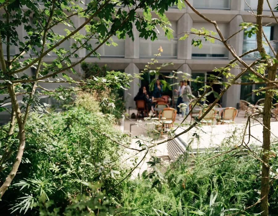 nexhos-espaces-exploitation-immobilier