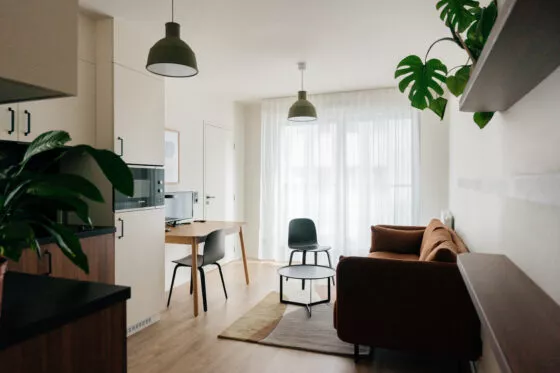 whoo-logement-meublé-T2